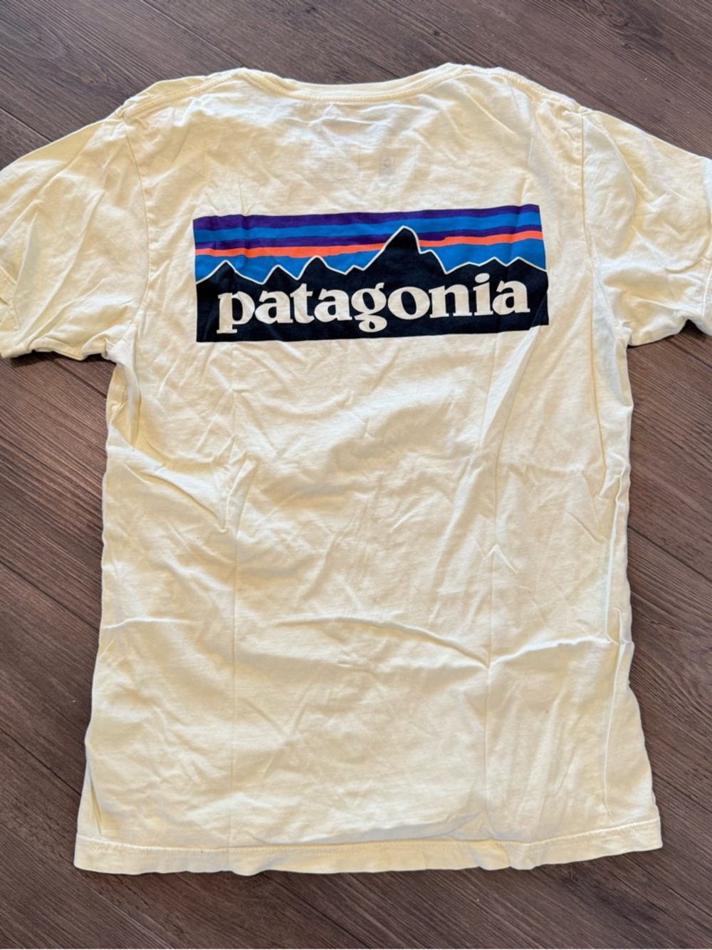 Patagonia Slim Fit Graphic Shirt